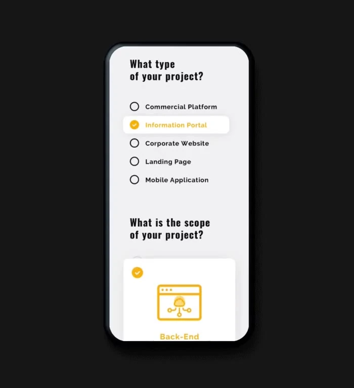 Screen recording on a phone: choosing Information portal as the project type and Back-end as the scope